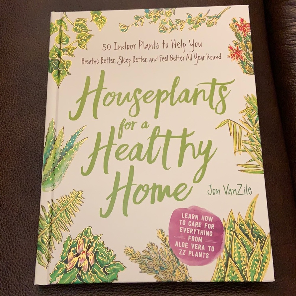 Houseplants For A Healthy Home